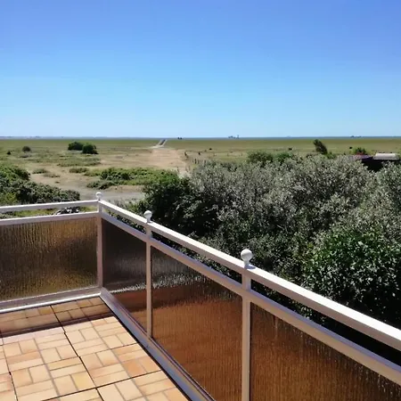 Rosenboom Rosenboom 02 *